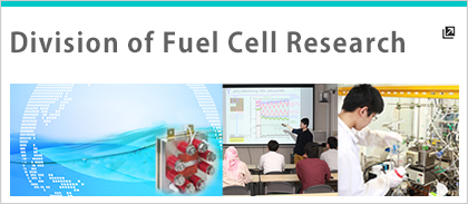 Division of Fuel Cell Research