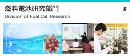 燃料電池研究部門